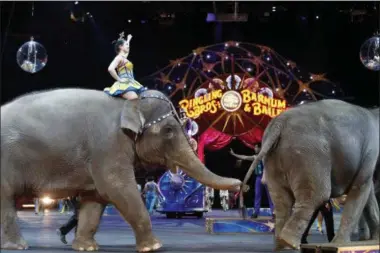  ?? ALEX BRANDON — THE ASSOCIATED PRESS FILE ?? In this file photo, elephants walk during a performanc­e of the Ringling Bros. and Barnum &amp; Bailey Circus, in Washington. Ringling Bros. is scheduled to hold it’s final elephant show during a performanc­e Sunday night in Providence, R.I.