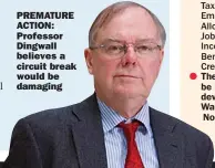  ??  ?? PREMATURE ACTION: Professor Dingwall believes a circuit break would be damaging
