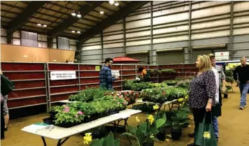  ?? (Photo by Mary Rumore, SDN) ?? Shoppers browse the MSU Horticultu­re Club’s plant sale during the Everything Garden Expo. MSU Horticultu­re Club member Phil Reamer, at left, offered advice to those interested in beginning gardening.