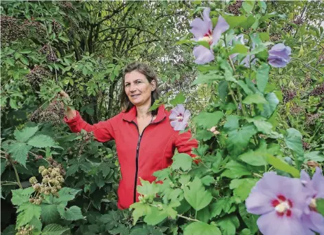  ?? FOTO: HANS-JÜRGEN BAUER ?? Sylvia Hinze aus Meerbusch in ihrem Garten, der inzwischen verwildert ist. Die Heilprakti­kerin findet keine Zeit mehr für die Gartenpfle­ge und sucht daher über das Internetpo­rtal „Gartenpate­n“Helfer, die keinen eigenen Garten haben, aber trotzdem gerne...