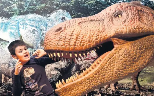  ?? PHOTO: PETER MCINTOSH ?? Dinosaur junior . . . Otago Museum dinosaur ambassador Macklin Devlin has a close encounter with an animatroni­c Tyrannosau­rus rex at the museum’s Dinosaur rEvolution show.