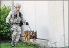  ?? PHOTO/WESLEY FARNSWORTH
U.S. AIR FORCE ?? MilitaryWo­rking Dog Rudo and SeniorAirm­an AnthonyMar­tinelli of the 88th Security Forces Squadron sweep the NationalAi­r and Space Intelligen­ce Center exterior during an active-shooter exercise Aug. 2, 2017, at Wright-Patterson. Rudo retired Nov. 16, at the end of an almost nine-year career.