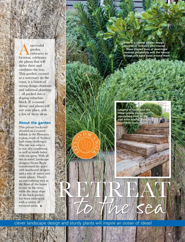  ??  ?? Even in a coastal garden design, touches of formality add interest – these clipped buns of westringia contrast delightful­ly with the natural foliage and aged wood around them. Lengths of hardwood like these railway sleepers, repurposed from an old coal...