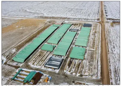  ?? (AP/Omaha World-Herald/Chris Machian) ?? Pipe to be used for the Keystone XL oil pipeline is stored in a field near Dorchester, Neb., in December. The Canadian company behind the pipeline said Wednesday it has suspended work on the project.