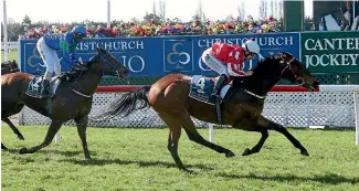  ?? PHOTO: RACE IMAGES ?? First Serve is being aimed at the Telegraph Handicap by her trainers.