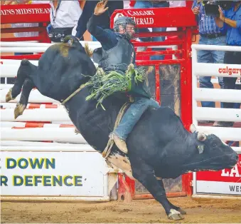  ?? AL CHAREST ?? Jordan Hansen of Okotoks, 2021 Calgary Stampede bull-riding champion, hangs on tight for an 87.5 at the Calgary Stampede rodeo on Sunday.