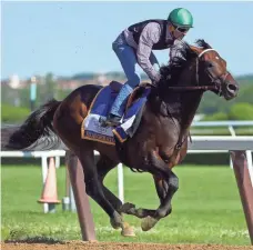  ?? BRAD PENNER, USA TODAY SPORTS ?? Belmont favorite Exaggerato­r trains on the main track Tuesday in preparatio­n for the race’s 148th running Saturday.