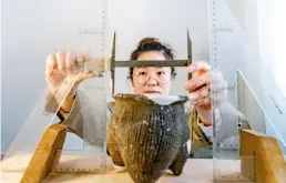  ??  ?? Ma Yuan, une employée de la station d’Anyang de l’Institut d’archéologi­e de l’Académie des sciences sociales de Chine, effectue des mesures sur une poterie. Après cela, elle fait un dessin précis par ordinateur.