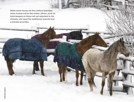  ??  ?? While some horses do fine without blankets when turned out for the winter, others, such as hard keepers or those not yet adjusted to the climate, will need the additional warmth that a blanket provides.