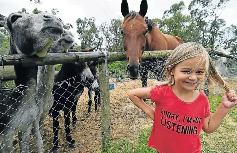  ?? Picture: EUGENE COETZEE ?? FUN FOR ALL: There will be plenty of activity at the Port Elizabeth Animal Welfare Society’s family fun day on Saturday, including a sleepover, stalls, donkey rides and a picnic-style vibe. Here, Erin van Tonder, 3, from Newton Park, gets to know the...