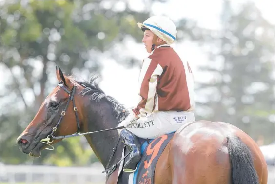  ?? Photo / Trish Dunell ?? Levante is going to need to give jockey Sam Collett more flexibilit­y in a race rather than playing catch-up every start.