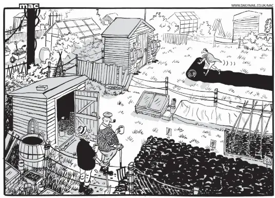  ??  ?? ‘I can’t wait to see who’s taken over the allotment next door’ To order your own print of this or any other Mac cartoon, or a Pugh cartoon, visit Mailpictur­es.newsprints.co.uk or call 020 7566 0360.