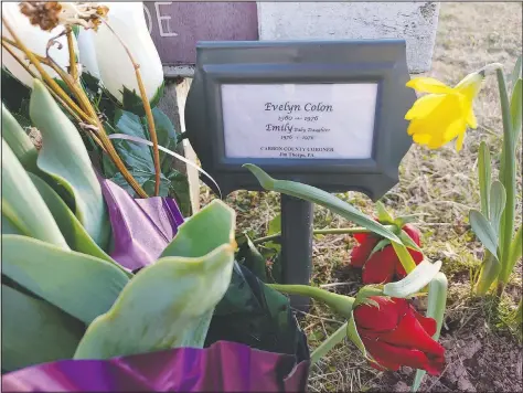  ??  ?? Phil Jeffries, retired funeral director and deputy coroner for Carbon County, Pa., placed a marker behind the flowers on Beth Doe and her baby’s grave with their true identities, Evelyn and Emily Grace Colon, after more than four decades, in Laurytown Road Cemetery in Lehigh Township, Pa.