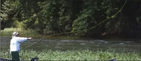  ?? (Arkansas Democrat-Gazette/Bryan Hendricks) ?? Rusty Pruitt casts a fly in a rapid Sunday on the Caddo River between Caddo Gap and Glenwood.