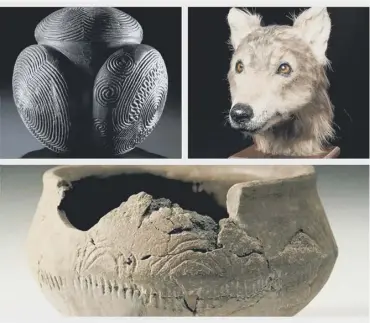  ??  ?? 0 A pot from Achnacreeb­eag, the 5,000-year-old Towie ball and the reconstruc­tion of a dog’s head