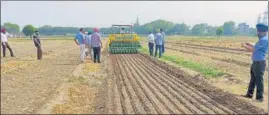  ?? HT FILE PHOTO ?? The direct seeding of rice (DSR) technique, which for the first time comes with an incentive of ₹1,500 per acre by the Punjab government, is getting more attention.