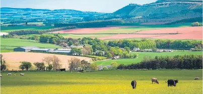  ??  ?? Pitlochie Farm which has gone on the market along with another three Howe of Fife farms.