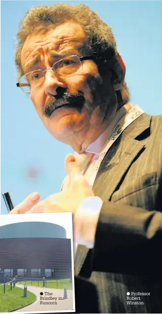  ??  ?? Professor Robert Winston