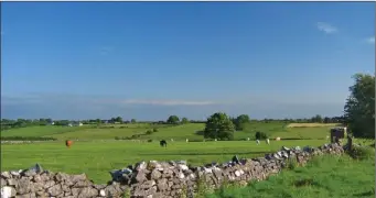  ??  ?? Values in land vary depending on quality, locality access and local demand. Poor quality land can sell at €3k - €4 per acre, with better quality averaging €6k - €7k per acre with the odd exception for superior lots.