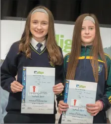  ??  ?? ( L- R) Catriona Snow and Caoimhe McDonagh from Coola Post Primary School, were among the prizewinne­rs in the Junior Life Science category at IT Sligo’s SciFest 2017