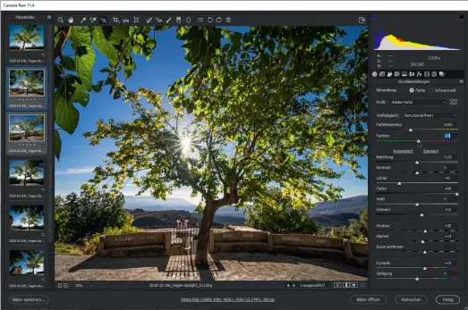  ??  ?? Kontrastre­ich: Für Motive mit starken Kontrasten eignet sich das RAW-Dateiforma­t (hier im RAW-Dialog von Photoshop).