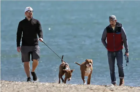  ?? MATT STONE / HERALD STAFF ?? LOOKS LIKE 6 FEET: Two men walk their dogs on Carson Beach in South Boston on on Friday.