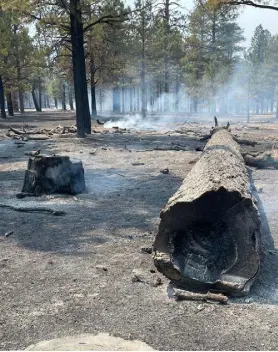  ?? Richard Ullman, Provided by National Park Service via The Associated Press ?? Fallen trees smolder after a wildfire at the Sunset Crater Volcano National Monument in Arizona on Wednesday.