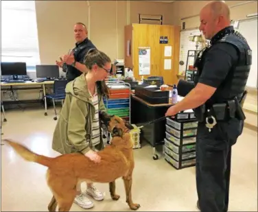  ?? SUBMITTED PHOTO ?? Deputy Mike Sarro, right, introduces K-9 Dexter to a Downingtow­n East High School student as Deputy Matthew Mendenhall looks on.