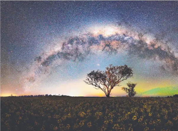  ??  ?? In Merriwa, NSW, a heart-shaped tree stands among the canola fields with the stars of the Milky Way and an alignment of three planets, Saturn, Mars and Venus.