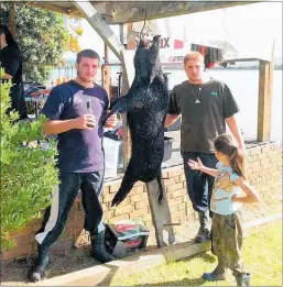  ?? PICTURES/SUPPLIED ?? DEATHS: Keen pig hunters Theo and Chad Scrivener have had two pig dogs burned alive by thieves who stole their ute.