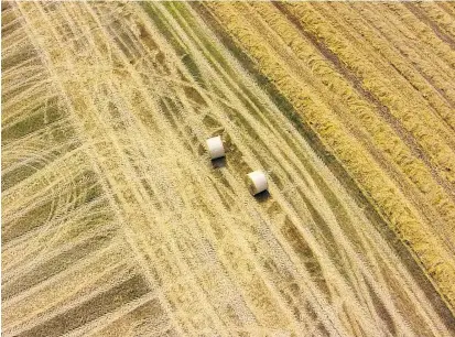  ??  ?? Für Österreich­s Felder wurden im Vorjahr 5000 neue Traktoren zugelassen, um 36 Prozent weniger als 2012. Der Markt für Landtechni­k verlor weiter an Kraft.