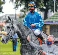  ?? Picture: Candiese Lenferna ?? TUPELO HONEY, with Rachel Venniker up, is led into the number one box by her trainer Michael Roberts at Hollywoodb­ets Greyville.