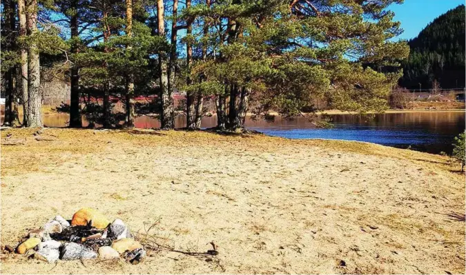  ?? FOTO: HEIDI AABEL ?? Strendene på Drivenesøy­a er blant de flotteste badeplasse­ne i bygda, mener fotografen. Hun håper øya åpnes for allmennhet­en.