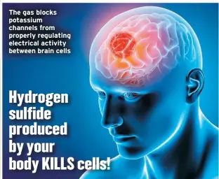  ??  ?? The gas blocks potassium channels from properly regulating electrical activity between brain cells