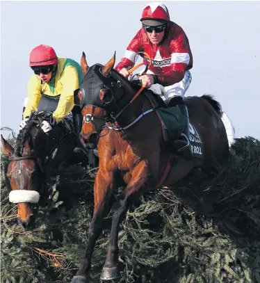  ??  ?? On hold: Tiger Roll, winning the Grand National last year, was set to go for a hat-trick of victories