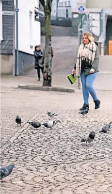  ?? RP-F: D. JANICKI ?? Tauben braucht man im Mettmanner Stadtgebie­t nicht lange zu suchen. Gibt es zu viele davon? Auf jeden Fall werden sie regelmäßig gefüttert.