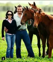  ??  ?? 1. Henrietta with Tavistock. 2. Lisa and Mark Chittick at Waikato Stud. 3. Henrietta with famed English trainer Henry Cecil at the Newmarket Sales. 4. Sir Patrick Hogan. 5. Richie McCaw. 2