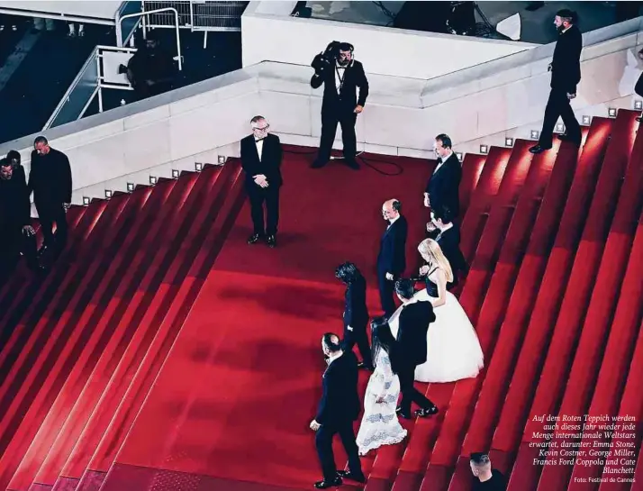  ?? Foto: Festival de Cannes ?? Auf dem Roten Teppich werden auch dieses Jahr wieder jede Menge internatio­nale Weltstars erwartet, darunter: Emma Stone, Kevin Costner, George Miller, Francis Ford Coppola und Cate Blanchett.