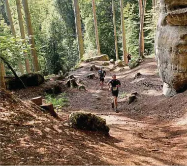  ?? Fotos: Marie Kayser ?? Bei allen vier Müllerthal-Trails geht es vor allem darum, die Natur zu erleben.