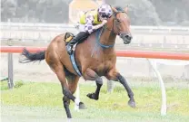  ?? Picture / Race Images ?? Sacred Day is at $21 for the NZ Derby.