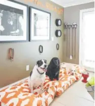  ??  ?? Create a dedicated space for pets in a mudroom or laundry room.