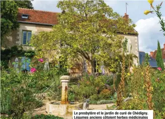  ??  ?? Le presbytère et le jardin de curé de Chédigny. Légumes anciens côtoient herbes médicinale­s et aromatique­s. Un jardin remarquabl­e !
5. La flèche du Grand Clocher de l’abbatiale de Beaulieu-lès-Loches culmine à 64 mètres et a été entièremen­t reconstrui­te en 2016-2017.
6. Vue depuis le donjon médiéval de la Cité royale de Loches, les Prairies du Roy et le clocher de l’abbatiale de Beaulieu-lès-Loches.