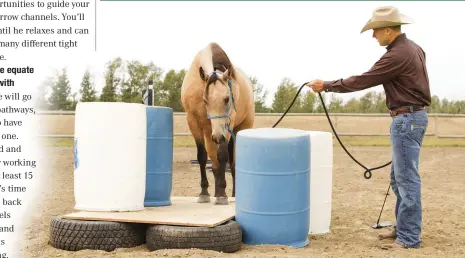  ??  ?? 2.
The first thing to do is to get the horse accustomed to passing through tight spaces that have nothing to do with a trailer. I start by creating a pathway using four upright barrels, two on each side, a little wider than the trailer stall. I then...