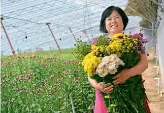  ??  ?? Una floriculto­ra del distrito de Donghai, provincia de Jiangsu.