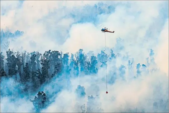  ?? HANDOUT / AFP ?? L’onada de calor va revifar ahir vells focs i va crear nous incendis al sud-est d’Austràlia, com en aquest bosc de la província de Victòria