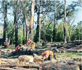  ??  ?? SES volunteers from several units around the metro area were finally able to return and help clean up properties affected by the fires in March 2019.