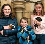  ??  ?? Trixie, a retired commercial hen, with her loving family, left, and the Leans clutching their trio of guinea pigs.