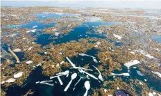  ??  ?? Un mar de basura, que incluye animales muertos, residuos hospitalar­ios, ropa, latas, vidrios y plásticos, afecta las costas de Guatemala y Honduras.
