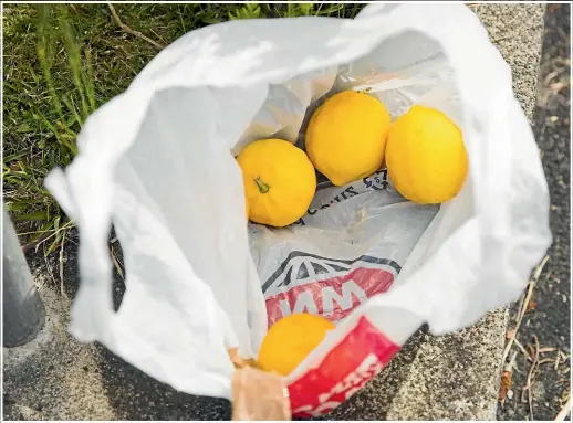  ?? CHRISTEL YARDLEY/STUFF ?? Lemons were found outside the McCracken Avenue house where a child was abducted.