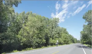  ?? PETER McCABE ?? Chemin de l’Anse-à-l’Orme cuts through undevelope­d land located in western Pierrefond­s. “Our dream is to create a national park on the west part of the island,” Mayor Valérie Plante says.